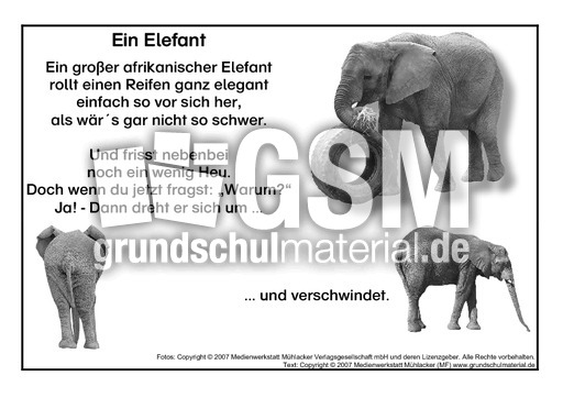 Ein-Elefant-SW.pdf